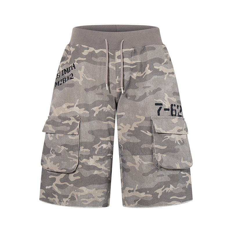 Raid Camo Shorts